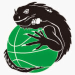 Logo der Iguanas